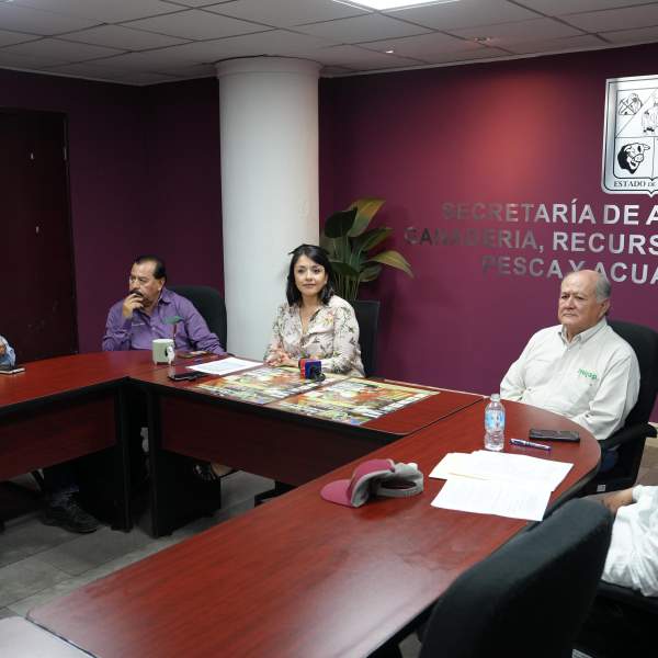 Gobierno de Sonora e Inifap realizarán el XXVI Simposio Internacional de Nogal Pecanero 2025